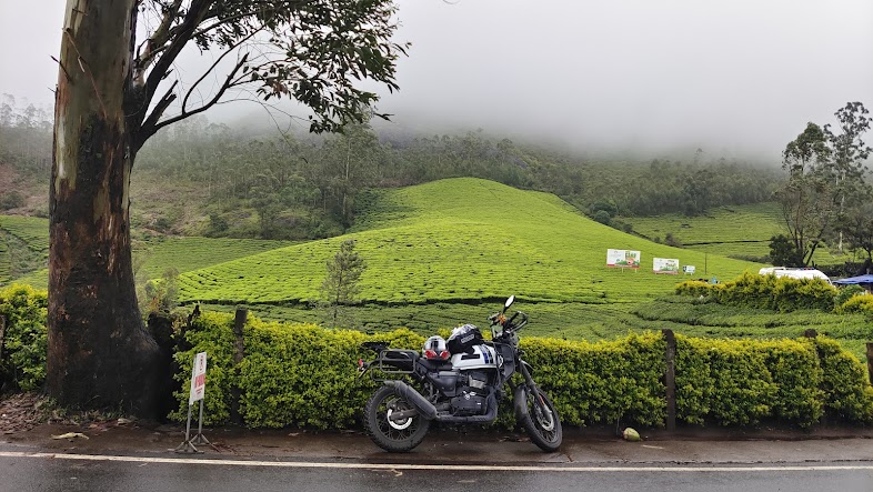 photo point munnar tours